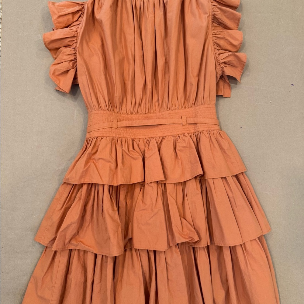 Ulla Johnson Terracotta Ruffled Mini Dress - Picture 6 of 9